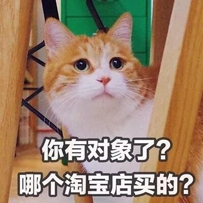 初恋最难忘最新清纯森系女生qq头像