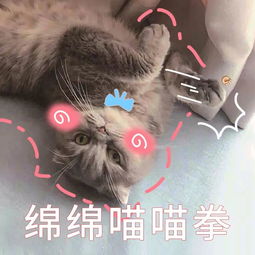 端妞唠嗑实录丨工作这种事,有人类做就可以了
