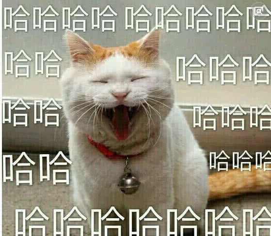 吸烟表情包艾特男朋友掌上明猪