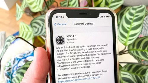 苹果ios14.5更新心火烧等表情上线,还有app防跟踪等功能