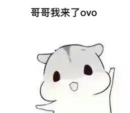 可爱仓鼠兄妹表情包