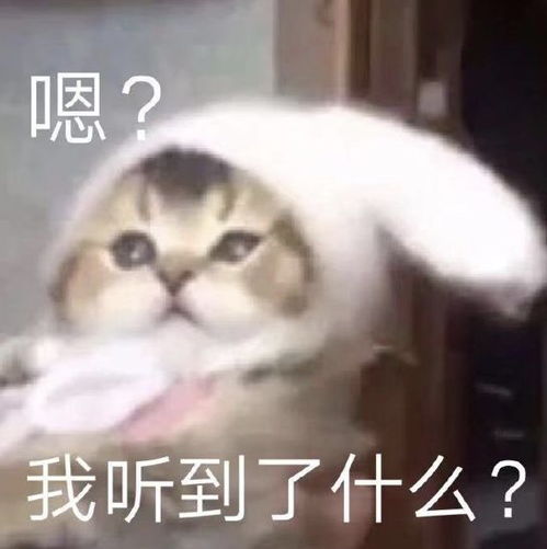 吴谨言新戏也太吓人了吧表情癫狂五官都各自飞走