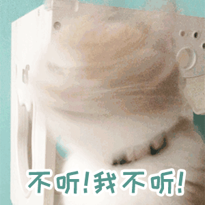 精选萌宠gif表情包做个孤独的舔狗,弱小可怜且无助