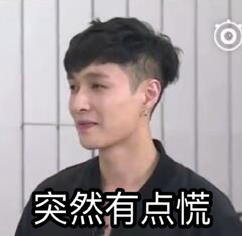 无限挑战exo张艺兴lay表情包