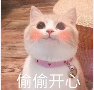 一组可爱的猫头像我要抱抱,哈哈哈