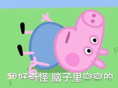 五一出行用了黄山拼车后,感觉省好多钱啊