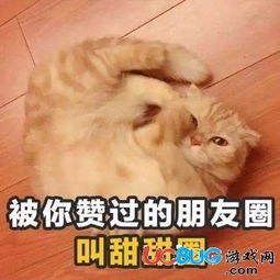抖音猫咪你就是有个缺点表情包大全