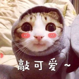 刚刚,宜昌发布暴雨橙色预警信号,还有