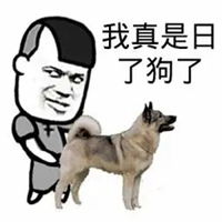狗暴走表情包表情包