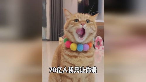 快请我吃火锅喝奶茶啦