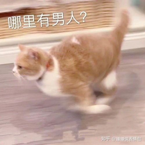 讨厌表情包搞笑图片生气
