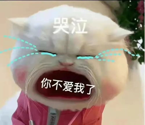 表情包生活费篇