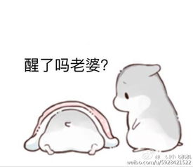 叫老婆起床真人表情图