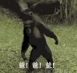 妈妈已经三天没打我了,与父母那些搞笑的聊天对话