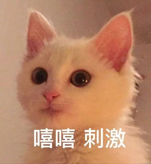 魏来可期无羡宠爱,c位出道一起走花路吧