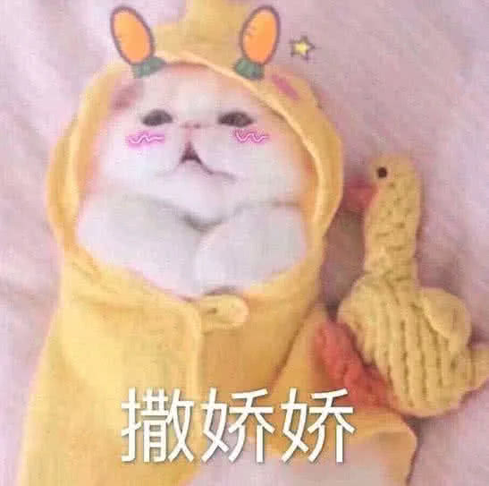 酱酱更了,养成文,开始你陪我一起长大,后面我与你一起白头偕老