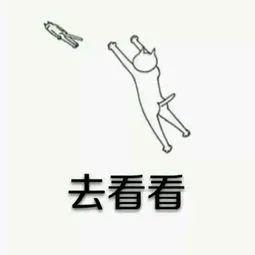 重要通知暂停服务