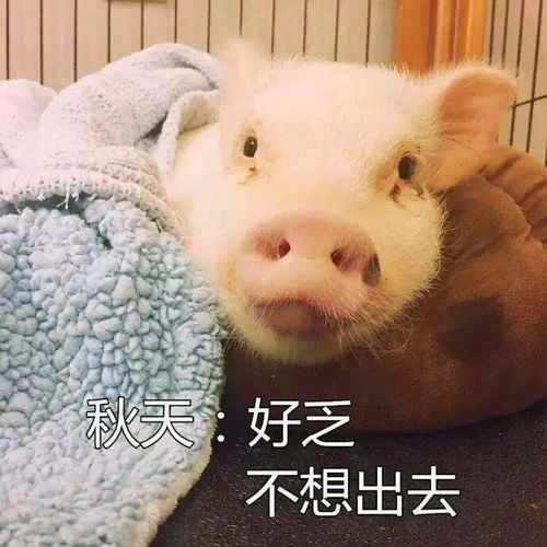 佛系90后日常,周末不出门,家里待一天