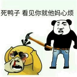 表情包你们又在谈论我的帅气,想吃小嗨