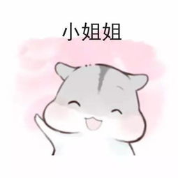 表情包丨处对象吗,有没有对象我都可以呀