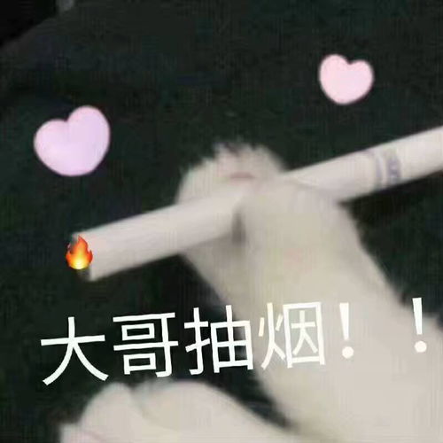 抽烟表情包是什么意思大哥