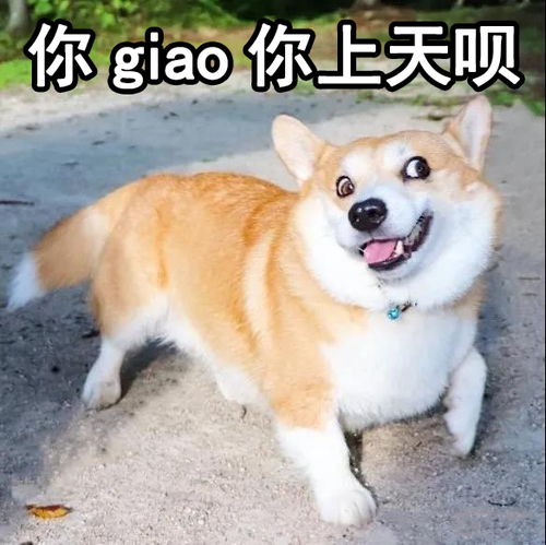 我的现状,社交恐惧症与交际圈狭窄你俩没一个是无辜的