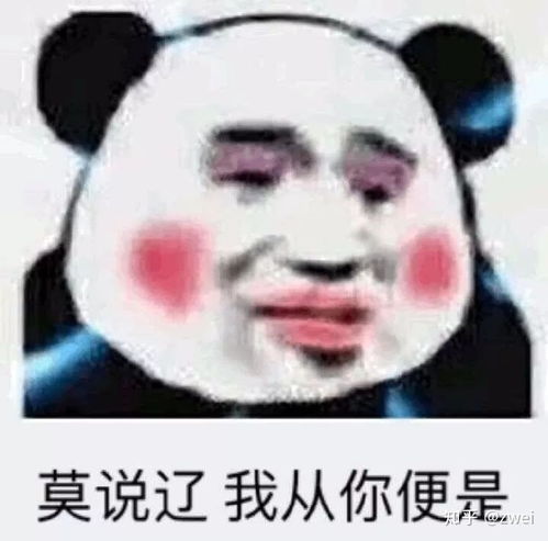 表情包熊猫头imsorry.dalao第二十五期
