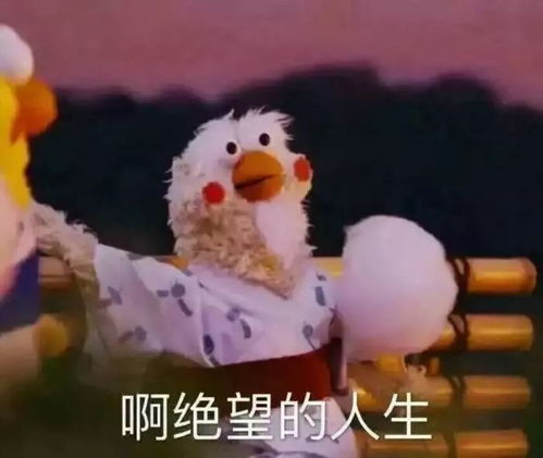 双蛋福利帮你在2020年斩获海外offer