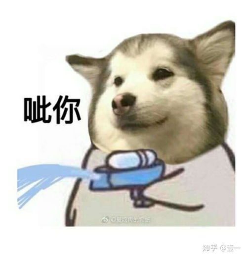 如何评价小花美穗的玩偶游戏