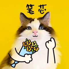 以为是悲惨周一,没想到是幸福周四文末福利