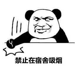 熊猫头表情包我们能在一起吗哪怕你是男的