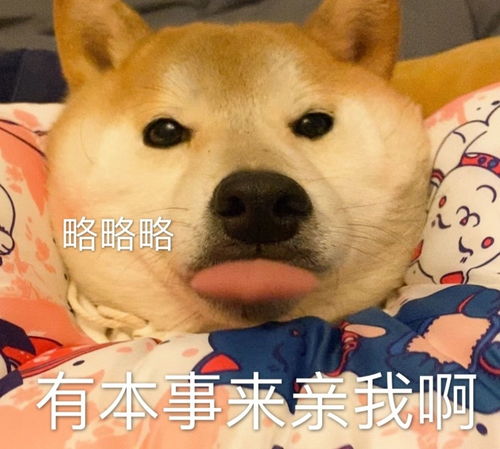 萌宠表情包略略略,有本事来亲我啊