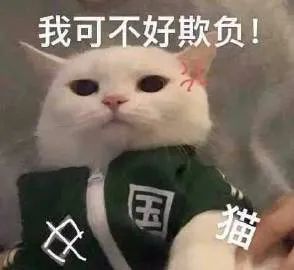 表情包哇,有美女耶