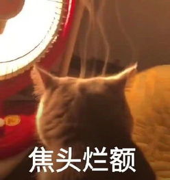昨天,全民迎来账单式小康,网友吓坏我哪来这么多钱
