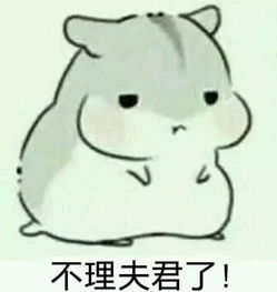 可爱仓鼠夫妇表情包