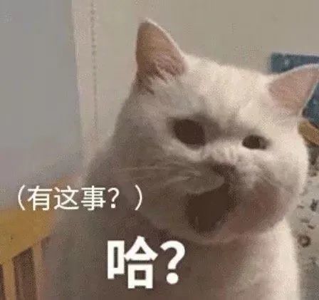表情包书没读好,喜欢的人也没在一起