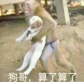 烂大街表情包下载网上超火的烂大街表情包搞笑图片高清无水印免费分享下载v1.0安族软件网
