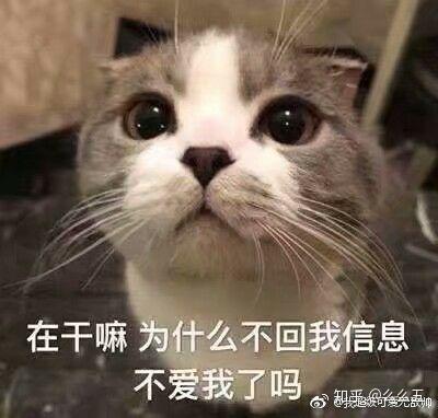 有什么可爱的情侣表情包