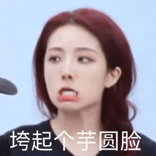今日计划,啥也不干