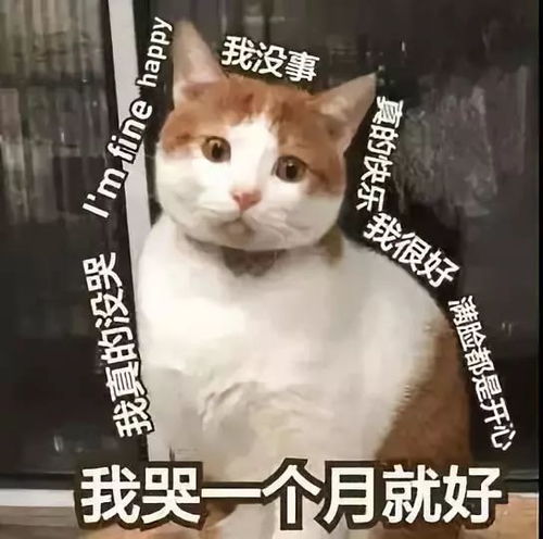 30岁,我被拒保了