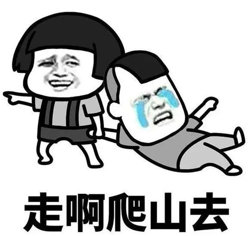 在线按奶20元一次表情包我是骗子