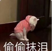 数据库与我一段关于学习与成长的深情回顾