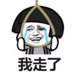 我要西撇表情包
