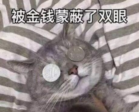 双眼迷离表情包叶知秋