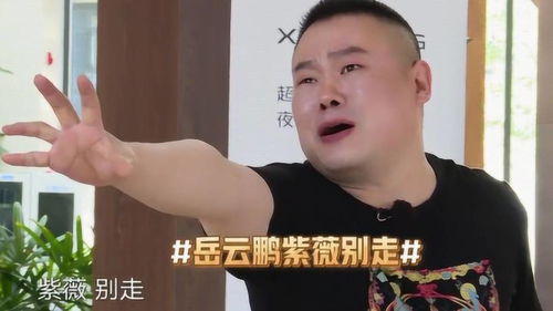 极限挑战岳云鹏模仿尔康的紫薇别走表情包,要笑喷了