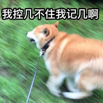 饲养大型犬咬伤他人判赔十万请为你的爱犬戴上自由的枷锁