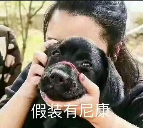 你这气质,一看就是教培人