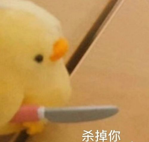 房子早就塌成废墟了,依然有这么多女网红前赴后继