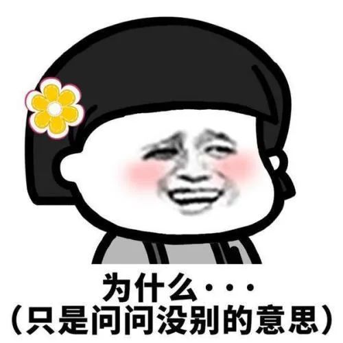 爆笑段子男友买了一只鹦鹉,但发现这只鹦鹉爱说脏话