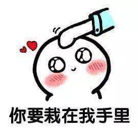 荣华拍了拍你这个七夕,邀请你谈一场甜甜的恋爱